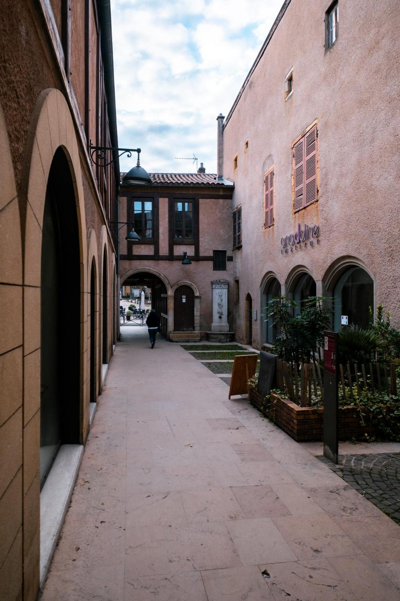 Mercure Villefranche-sur-Saône Dış mekan fotoğraf